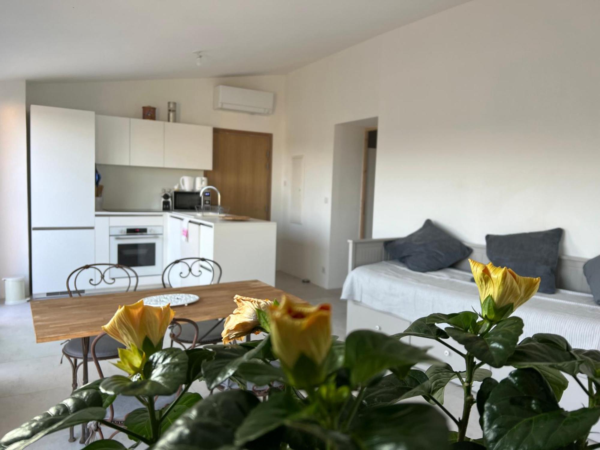 Au Coeur De Seillans, Charmant Logement, Grande Terrasse Et Panorama Exterior foto